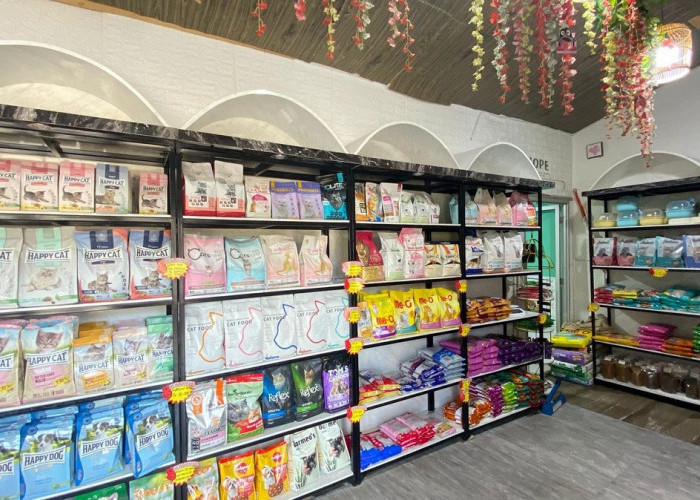 Laksamana Petshop Lubuk Linggau Jadi Pusat Perawatan dan Kebutuhan Hewan Peliharaan Terlengkap