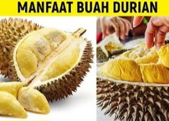 Ketahui Ini 14 Manfaat Durian untuk Kesehatan, Cek di Sini