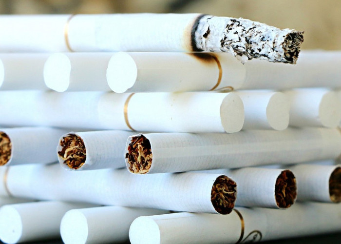Fatwa MUI Haram Membeli Produk Pro Israel, Termasuk Rokok, ini 7 Dampak Buruk Merokok bagi Kesehatan