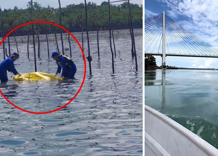 Pria yang Lompat di Jembatan Barelang Batam Ditemukan Setelah 4 Hari, Tak Lama Ada Lagi yang Terjun
