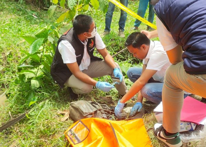 Mayat di Sawah Tugumulyo, Diduga Warga Lubuk Rumbai Tuah Negeri, ini Kata Kapolsek