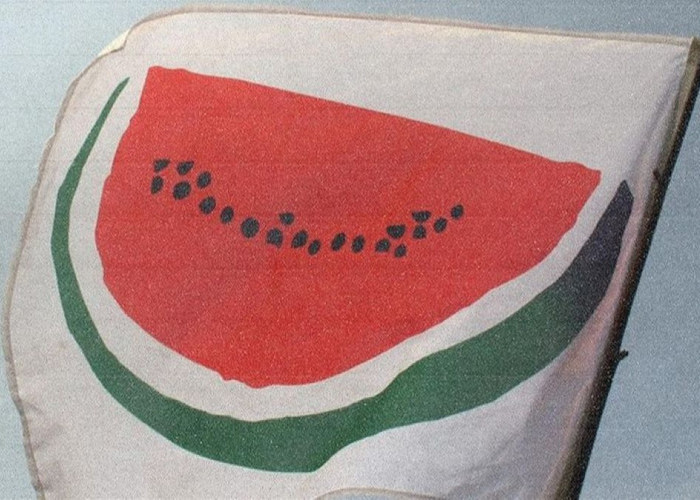 Menggunakan Semangka Sebagai Simbol Perlawanan dan Dukungan Palestina Terhadap Israel, Apa Artinya