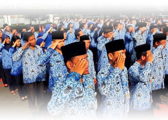 CASN 2024, Kabupaten Pringsewu Lampung Siapkan 1.468 Kuota CPNS dan PPPK, Ini Rincian Formasinya 