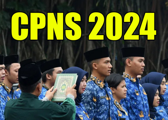 SKD CPNS Dimulai Oktober 2024, Ini Passing Grade Nilai Agar Lulus