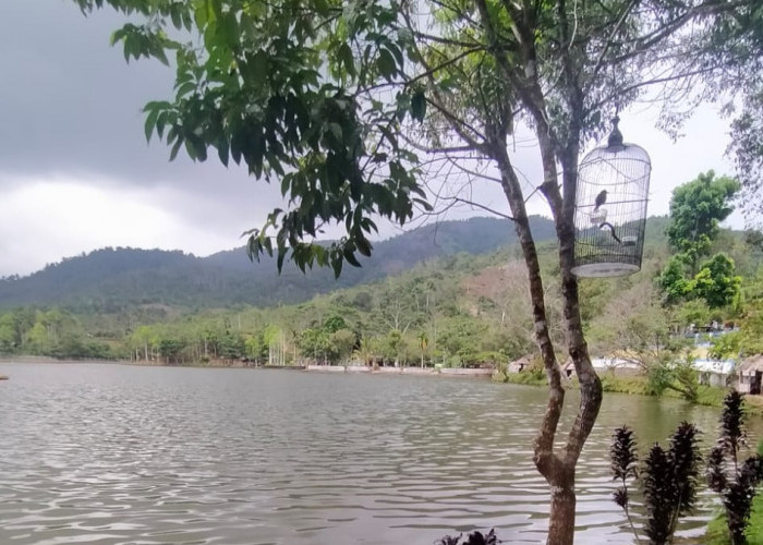 Wisata Danau Picung Lebong Bengkulu, Peninggalan Belanda, Tujuan Keluarga Liburan Tahun Baru 2024