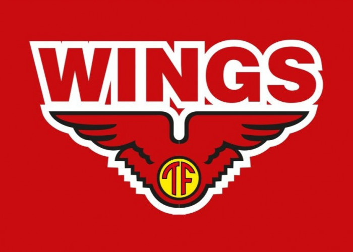 Lowongan Kerja Terbaru di PT Sayap Mas Utama Wings Group Penempatan Sumatera dan Kalimantan Barat