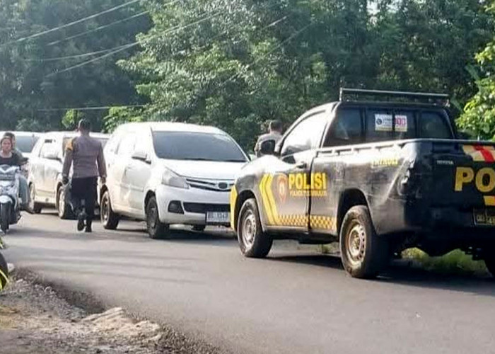 Bandar Turut Diamankan, Penggerebekan Arena Sabung Ayam di Tugumulyo Musi Rawas