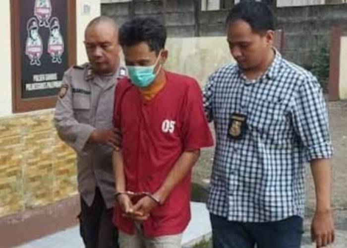 Pria di Palembang Ini Ternyata Pernah Mencuri Motor Mendagri Tito Karnavian, Ini Catatan Kejahatan