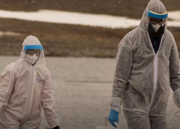 Waspada! Para Ahli Peringatkan Risiko Wabah Flu Burung Akan 100 Kali Lebih Buruk dari Pandemi Covid