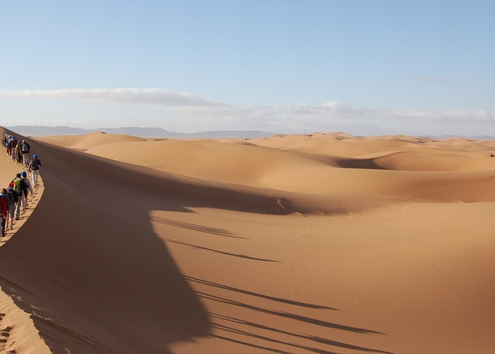 7 Fakta dari Gurun Sahara, Ternyata Bukan Gurun Terbesar di Dunia