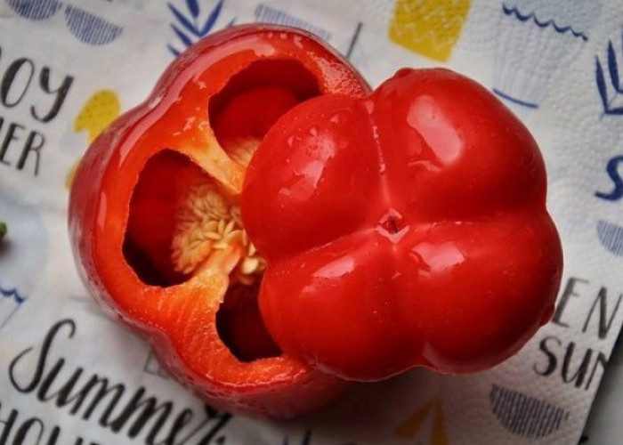 Ini 7 Manfaat Kandungan Paprika Merah, Simak Penjelasannya