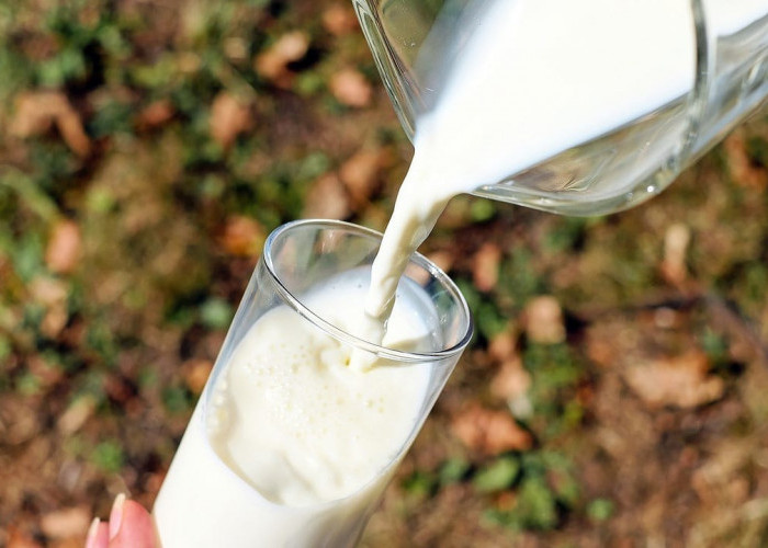 Bulan Ramadan Cari Produk Susu yang Diskon, Yuk Disimak Ada Promo THR Alfamart, Berikut Daftarnya