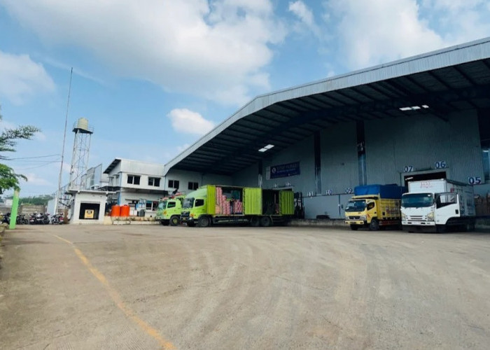 Wings Group Lubuk Linggau Buka Lowongan Kerja Terbaru, Berikut Link dan Posisinya