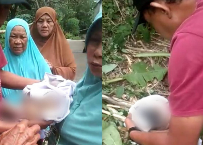 Viral Video Bayi Dibuang Ibunya di Sumur Tua di Lubuk Linggau, Mengaku Halusinasi