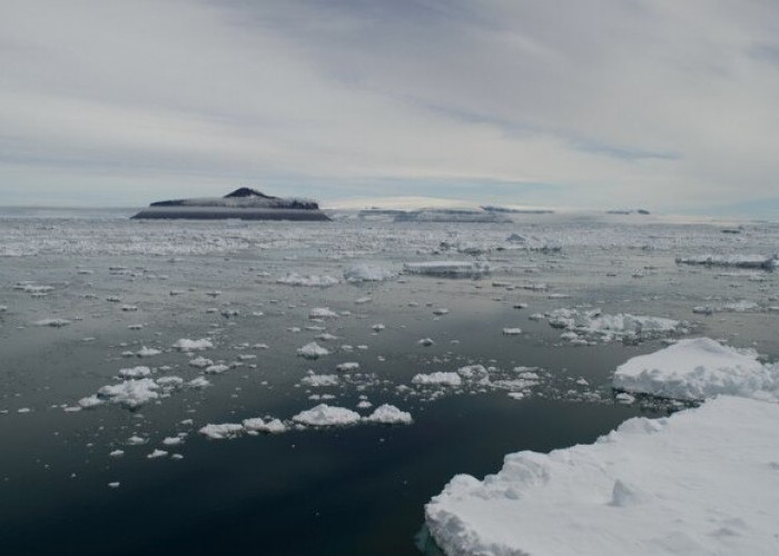 Es Kutub Utara Mencair, Ini 6 Dampak Buruknya Bagi Bumi