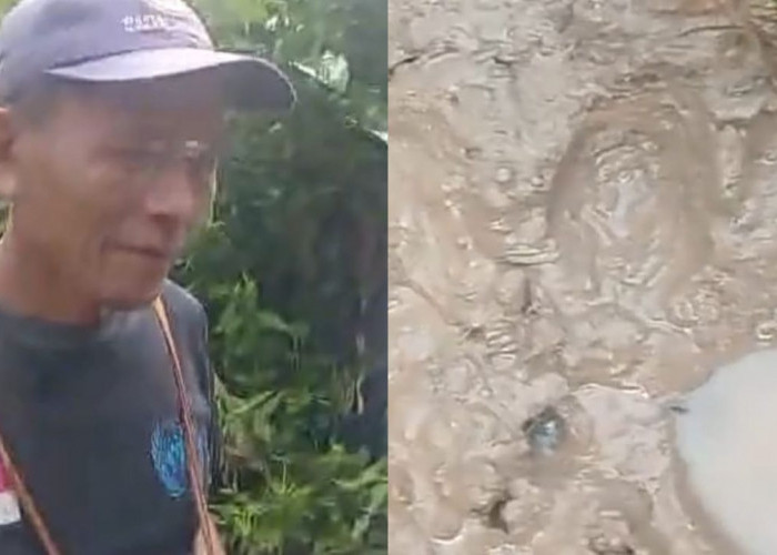 Warga Musi Rawas Temukan Jejak Diduga Harimau di Jalan ke Kebun, ini Kata TNKS