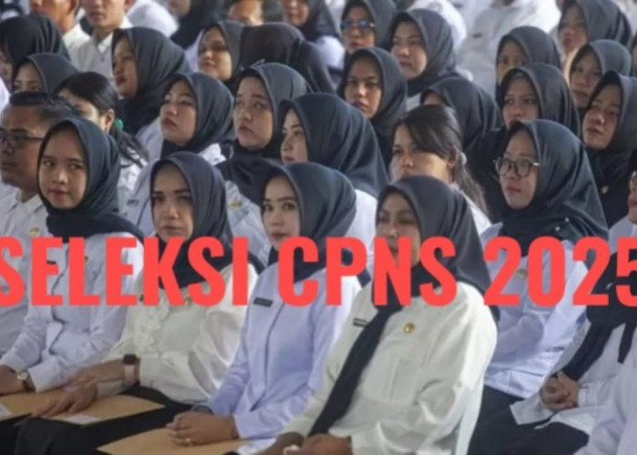 Menpan RB Bocorkan Pendaftaran CPNS 2025, Begini Informasinya