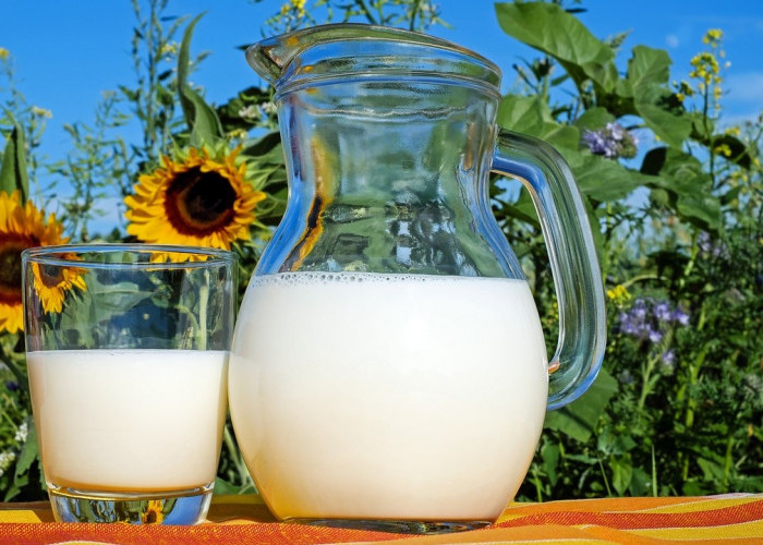 Manfaat Minum Susu di Pagi Hari, Salah Satunya Cocok untuk Diet