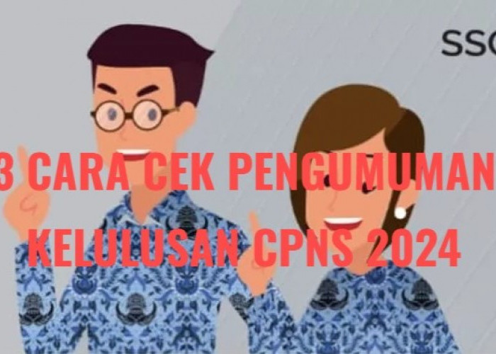 3 Cara Cek Pengumuman Lolos CPNS 2024, Peserta Seleksi Buruan Simak