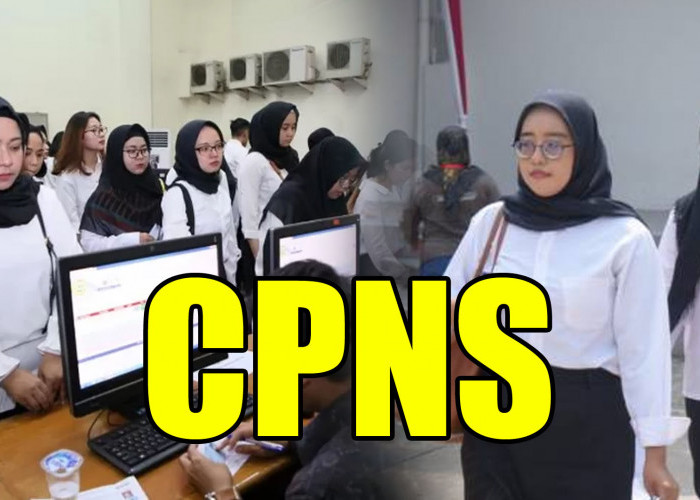 Apakah CPNS 2025 Kembali Dibuka, ini Penjelasan Kemenpan RB