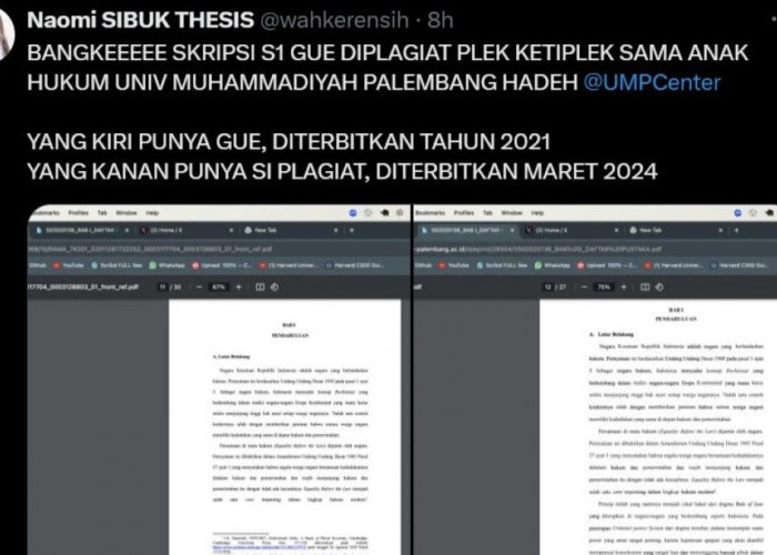 Heboh, Mahasiswa Muhammadiyah Palembang Ketahuan Plagiat Skripsi Unsri, Begini yang Terjadi