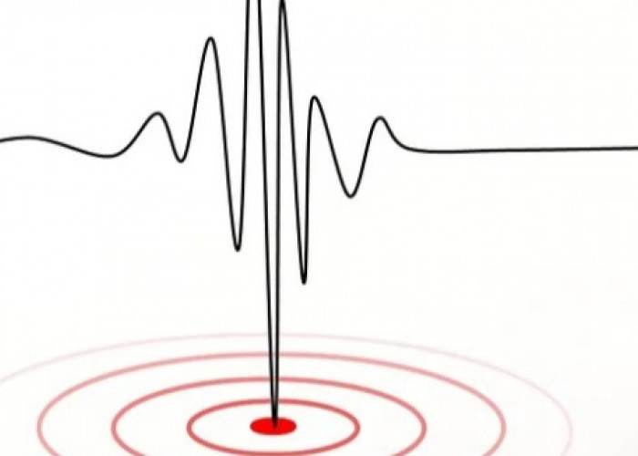 Gempa Berkekuatan M 3,3 Guncang Seluma Bengkulu