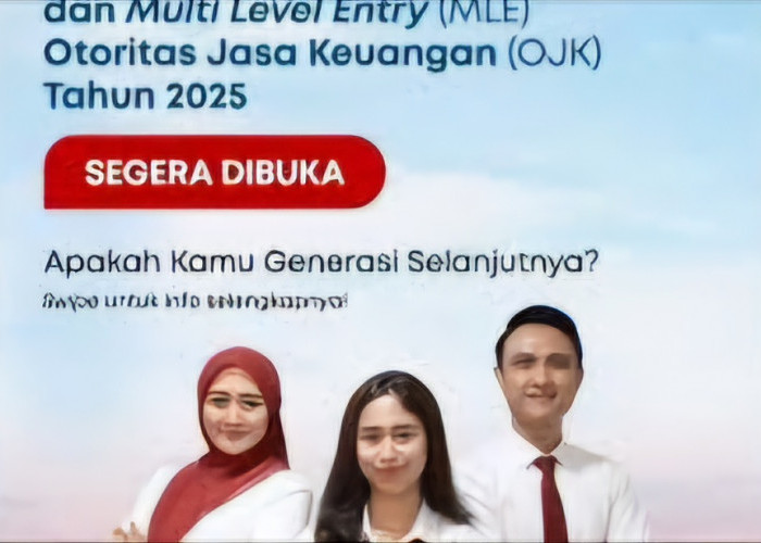 Link Mendaftar Rekrutmen OJK 2025 Sebagai PCAM 9  dan MLE, Buruan Catat