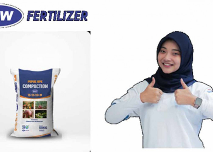 DGW Fertilizer Buka Lowongan Kerja, Ini Posisi dan Kualifikasinya