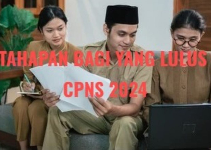 CPNS 2024, Usai Pengumuman Kelulusan Berikut Tahapan Selanjutnya, Penting Disimak