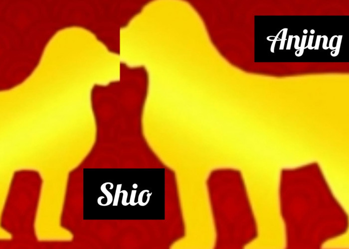 Karakter Shio Anjing Tahun Naga Kayu Setelah Imlek 2024, Soal Kinerja Tidak Diragukan, Kejujuran Oke Banget