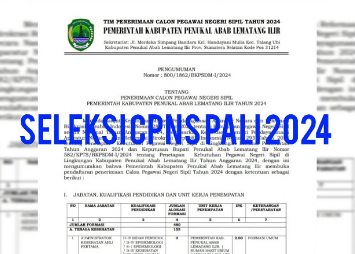 60 Formasi CPNS 2024 PALI Disiapkan untuk Lulusan SMA Sederajat, Berikut Jabatan Paling Banyak Dibutuhkan