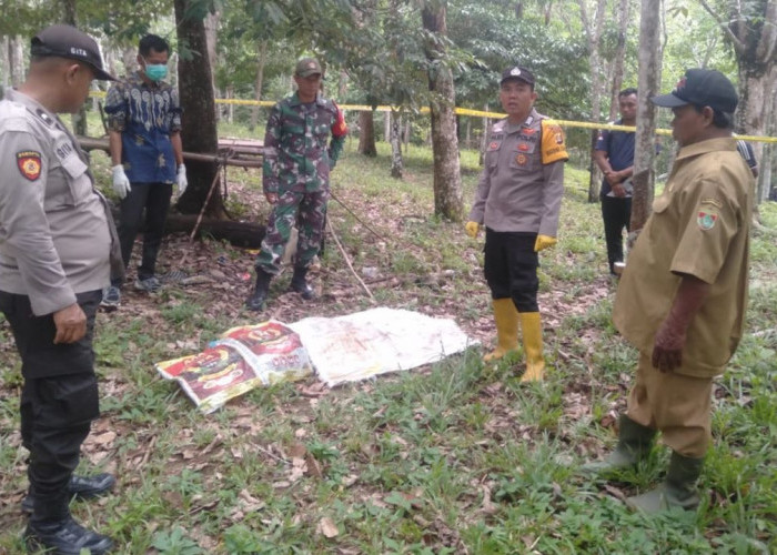 Penemuan Mayat Pria Tak Bercelana di Kebun Karet Jayaloka Mura, ini Penjelasan Kapolsek