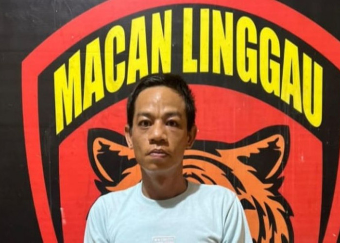 Video Penangkapannya di Pasar Bukit Sulap Lubuk Linggau Viral, Ternyata ini Kasusnya