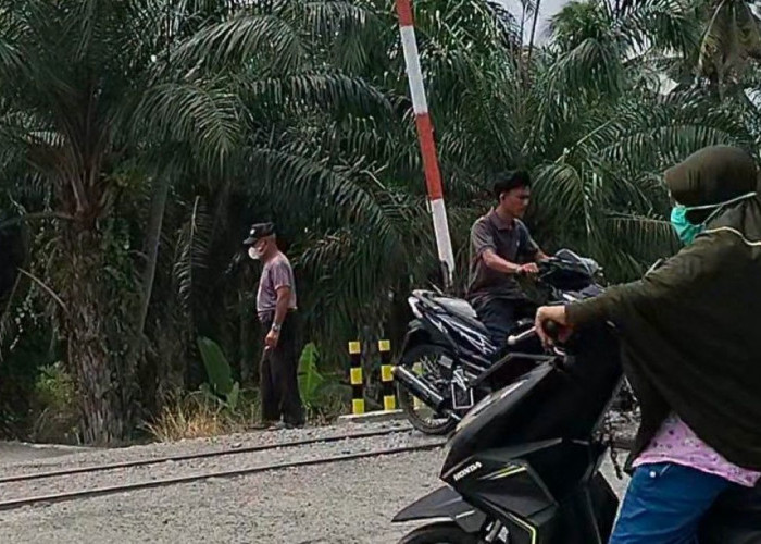 Cara Aman Menyeberangi Rel Kereta Api, Agar Tidak Menjadi Korban Tertabrak
