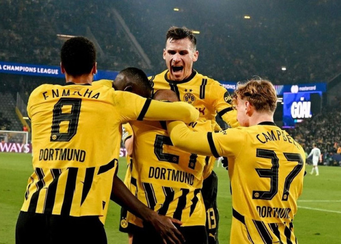 Bundesliga: Prediksi Mainz vs Borussia Dortmund, Sabtu 9 November 2024, Kick Off 21.30 WIB