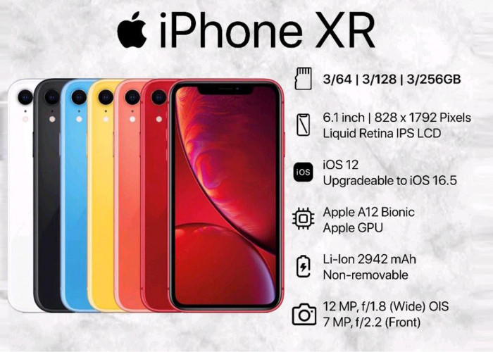 Turun Harga di Februari 2024, Berikut Cek Harga iPhone XR Terbaru dan Keunggulannya