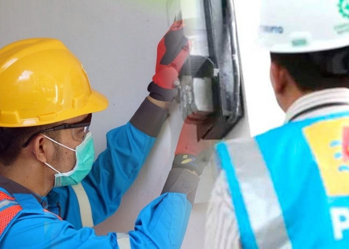 Catat, Ini Rincian Tarif Listrik Terbaru Mulai 1 November 2025