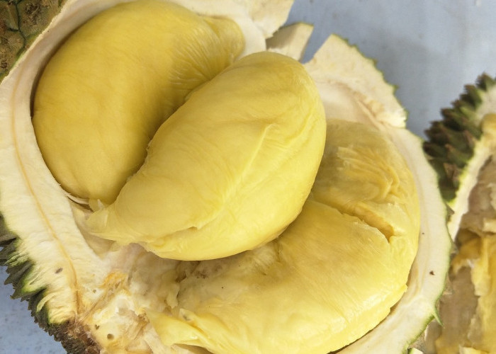 Suka Makan Durian? Ini Takaran yang Tepat dalam Sehari, Kalian Wajib Tahu!