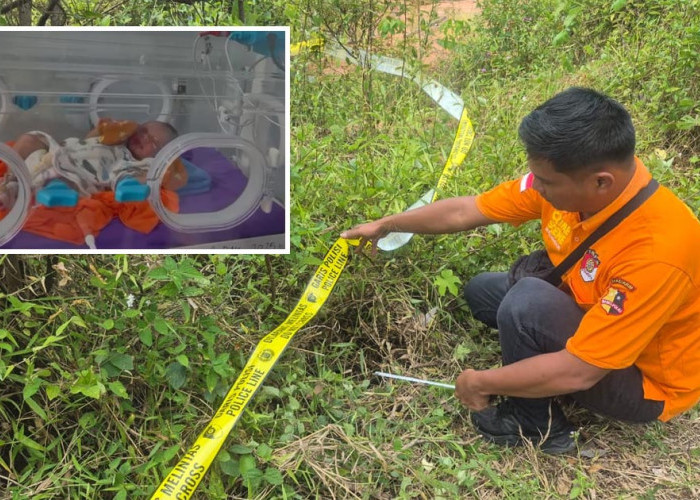 Dinsos Empat Lawang Pastikan Bayi yang Ditemukan di Semak-Semak Dapatkan Hak-haknya 