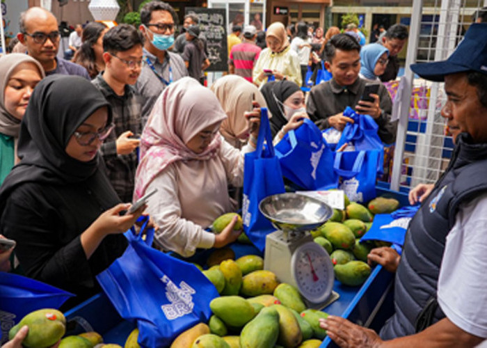 Diberdayakan BRI, Petani Mangga Bondowoso Mampu Perluas Lahan dan Tingkatkan Taraf Hidup