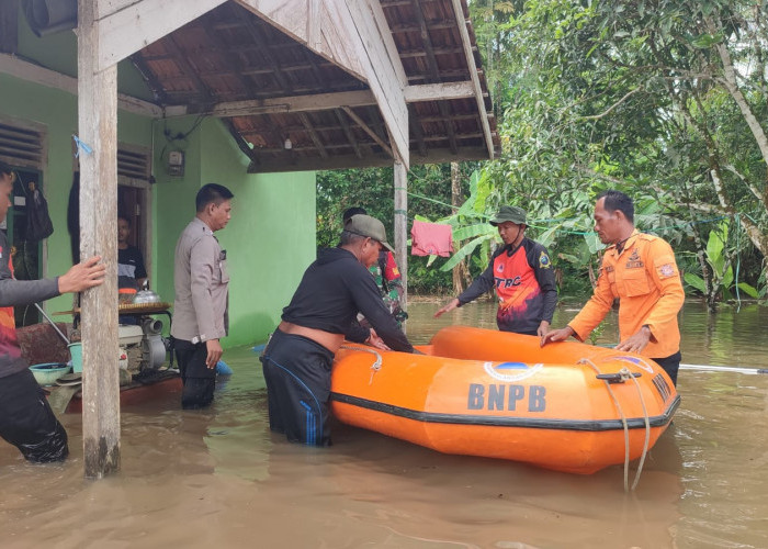 Dua Desa di STL Ulu Terawas Musi Rawas Terendam Banjir, Puluhan Rumah Terendam