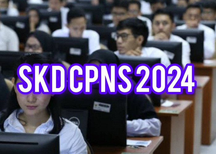 SKD CPNS 2024, Begini Cara Lihat  Rangking dan Jumlah Pesaingmu, Cek Sekarang!