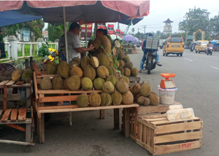 Raja Buah Asia Tenggara, Ini 7 Fakta Unik dan Menarik Duren yang Belum Banyak Diketahui