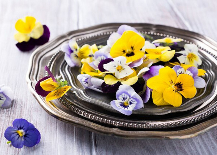 Inilah 10 Jenis Edible Flower, Selain Tampilannya Cantik Juga Enak untuk Dimakan