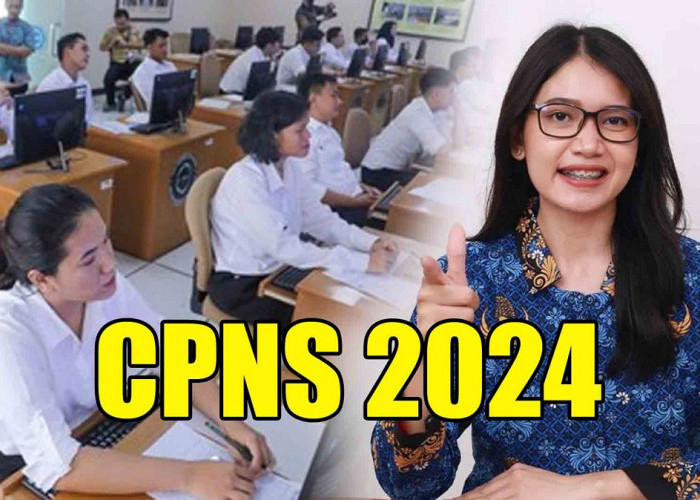 Peserta CPNS 2024 Wajib Tahu, Begini Proses Penentuan Kelulusan Jadi PNS