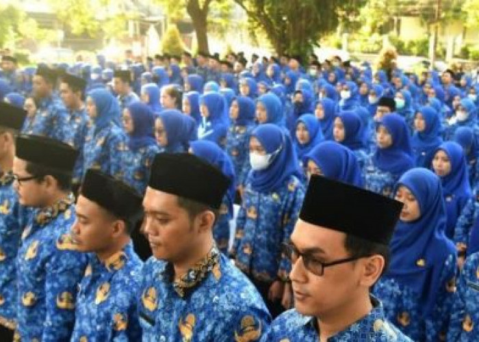 CPNS 2024 Pemkot Pagar Alam Buka Formasi Teknis, Ini  Kualifikasi Pendidikan dan Kuotanya