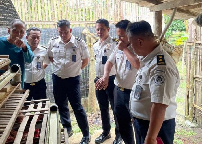 Dukung Program Kemandirian WBP, Lapas Narkotika Muara Beliti Lakukan Studi Peternakan Ayam