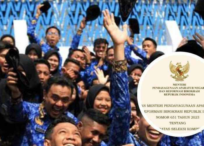 CASN 2024 Pemkab OKI Sumatera Selatan, Ada Ratusan Formasi CPNS dan PPPK, Segini Rinciannya