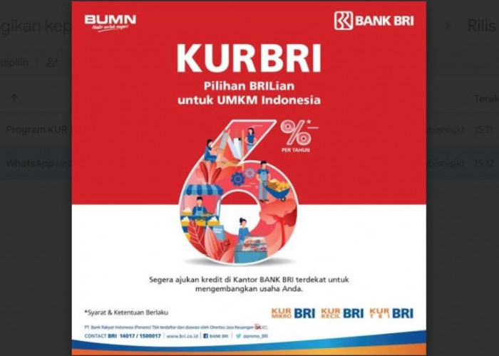 Program KUR BRI: Solusi Finansial Andalan untuk UMKM, Dorong Pertumbuhan Ekonomi Lokal