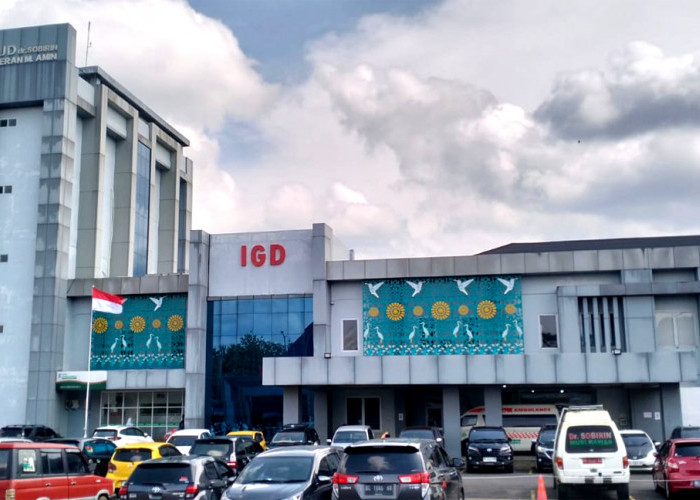 Viral Adu Argumen Keluarga Pasien dan Petugas RS dr Sobirin Musi Rawas, Soal Benda Asing Menancap di Kaki